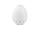 EggTemp-RH | Data logger teploty a vlhkosti ve tvaru vejce, s ochranným krytem